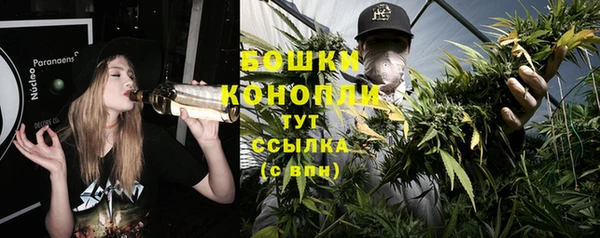 сатива Абдулино