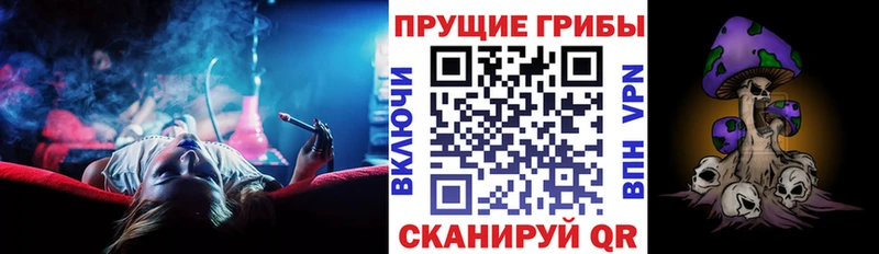 Псилоцибиновые грибы мухоморы  ссылка на мегу рабочий сайт  Киселёвск  купить наркотики сайты 